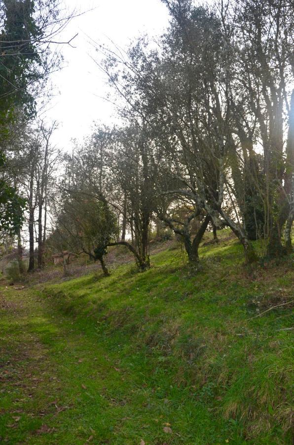 Il Giardino Secreto Apartment Manziana ภายนอก รูปภาพ