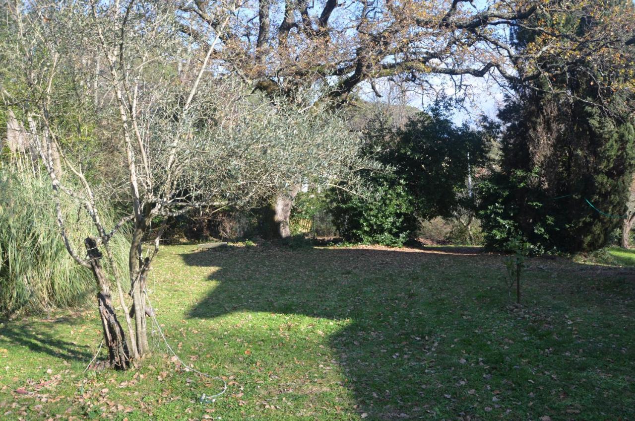 Il Giardino Secreto Apartment Manziana ภายนอก รูปภาพ