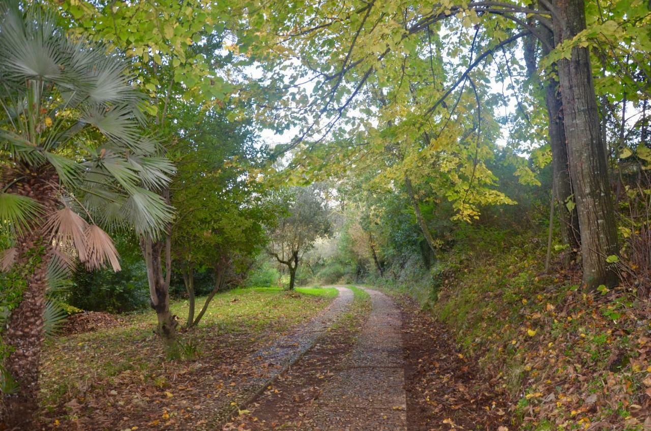 Il Giardino Secreto Apartment Manziana ภายนอก รูปภาพ