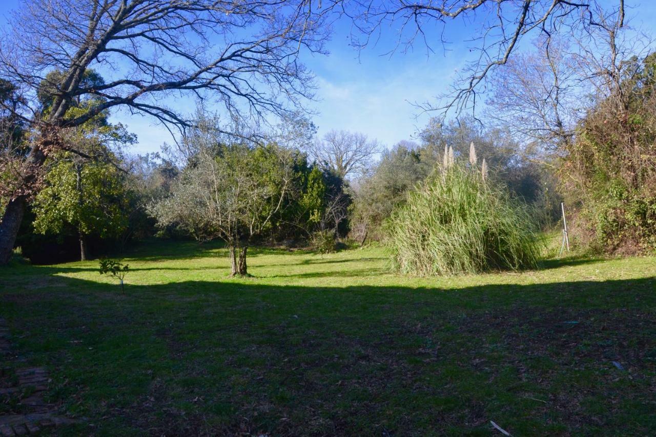 Il Giardino Secreto Apartment Manziana ภายนอก รูปภาพ
